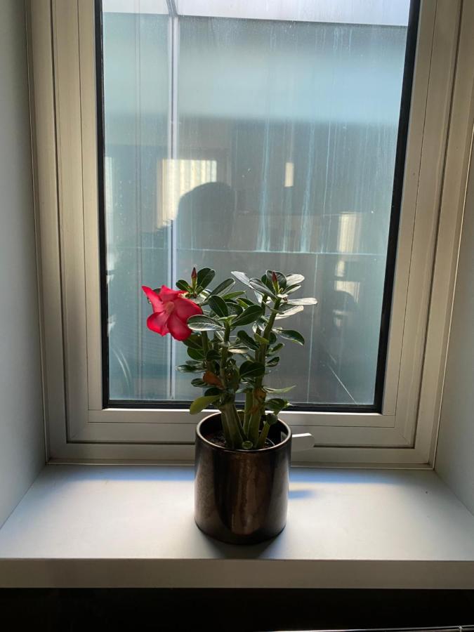 Host'In Aveiro Arrais Apartment Екстериор снимка